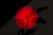 Spline profile picture for @minimal