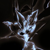 Spline profile picture for @serene